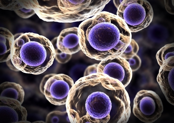 Uncovering pancreatic cancer’s genetic tricks